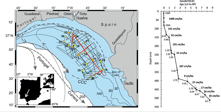 Formation history and material budget of holocene shelf mud depocenters in the Gulf of Cadiz
