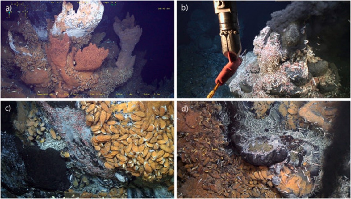 Application of scientific criteria for identifying hydrothermal ecosystems in need of protection