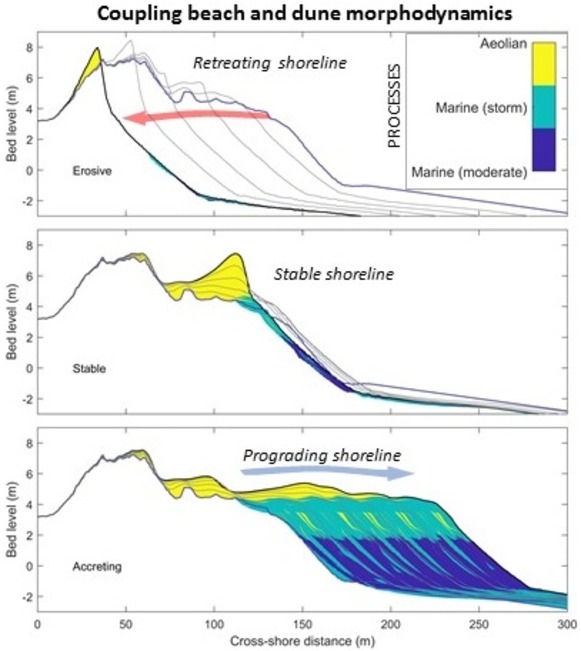 duna process-based models