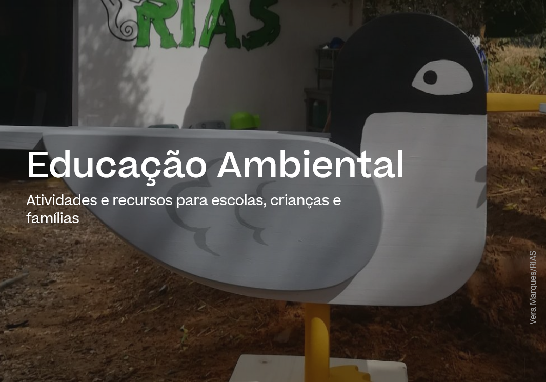 Educação Ambiental - LIFE Ilhas Barreira