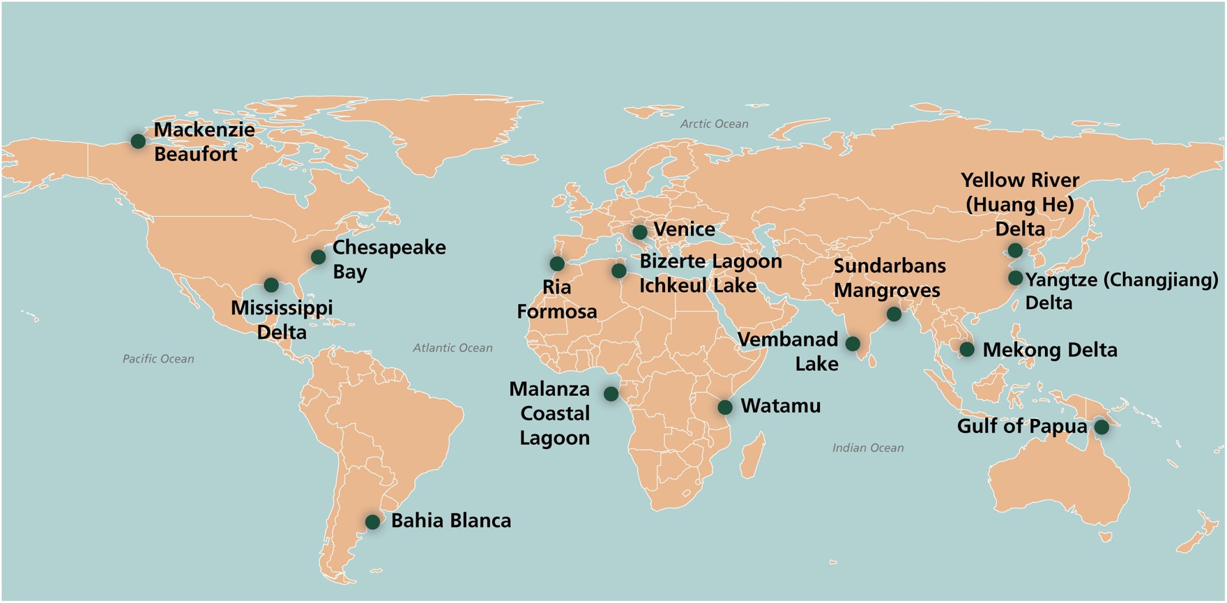 Anthropogenic pressures on coastal wetlands