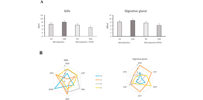 Perfluorooctane sulfonic acid (PFOS) adsorbed to polyethylene microplastics: accumulation and ecotoxicological effects in the clam Scrobicularia plana