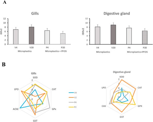 Perfluorooctane sulfonic acid (PFOS) adsorbed to polyethylene microplastics: accumulation and ecotoxicological effects in the clam Scrobicularia plana