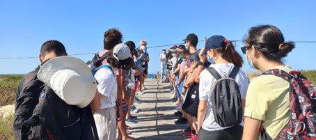 Dynamics and conservation of coastal dunes