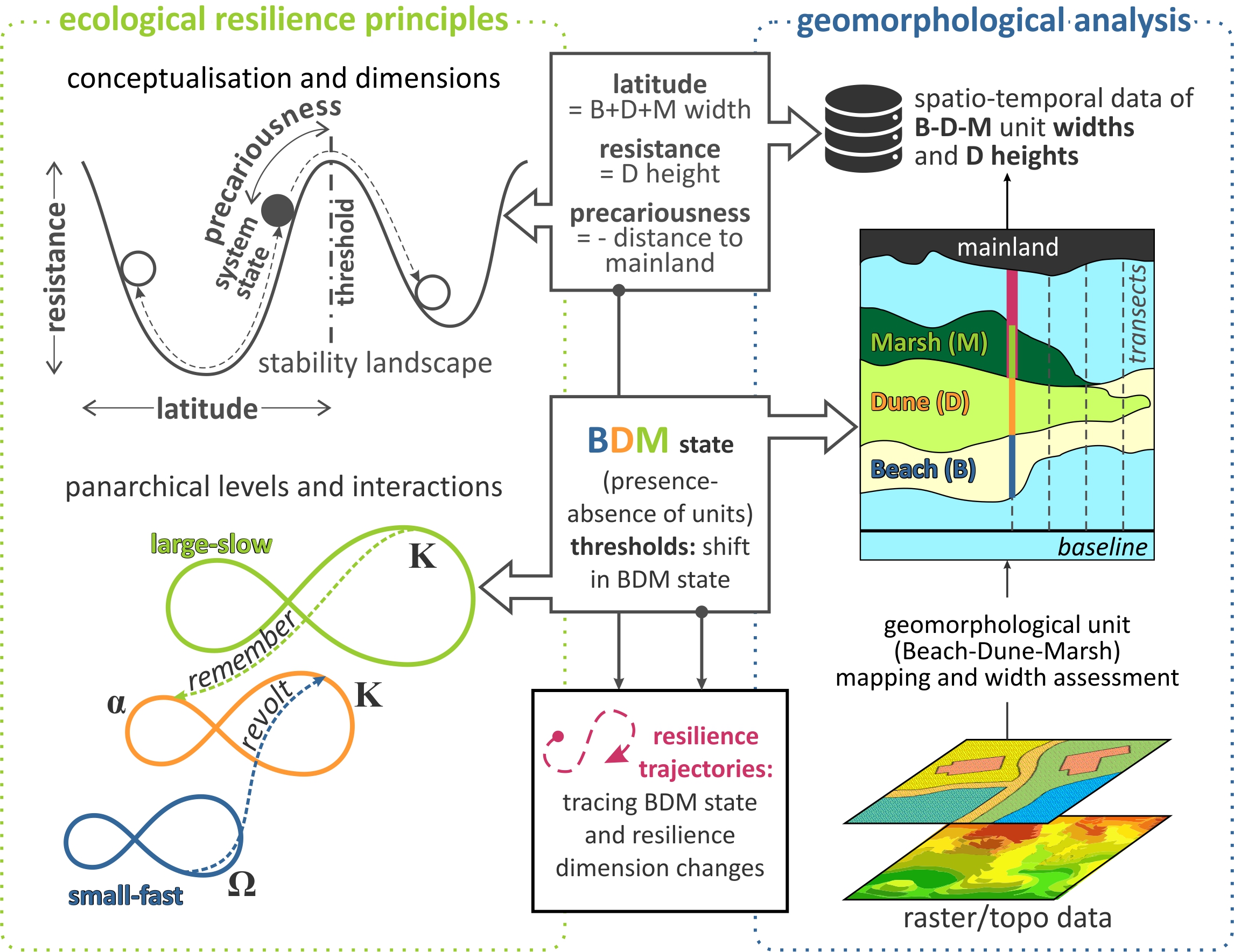 Barrier island resilience assessment: Applying the ecological principles to geomorphological data