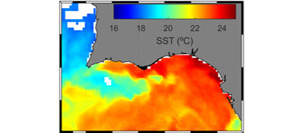 THE STRUCTURE OF INCIPIENT COASTAL COUNTER CURRENTS IN SOUTH PORTUGAL AS INDICATOR OF THEIR FORCING AGENTS