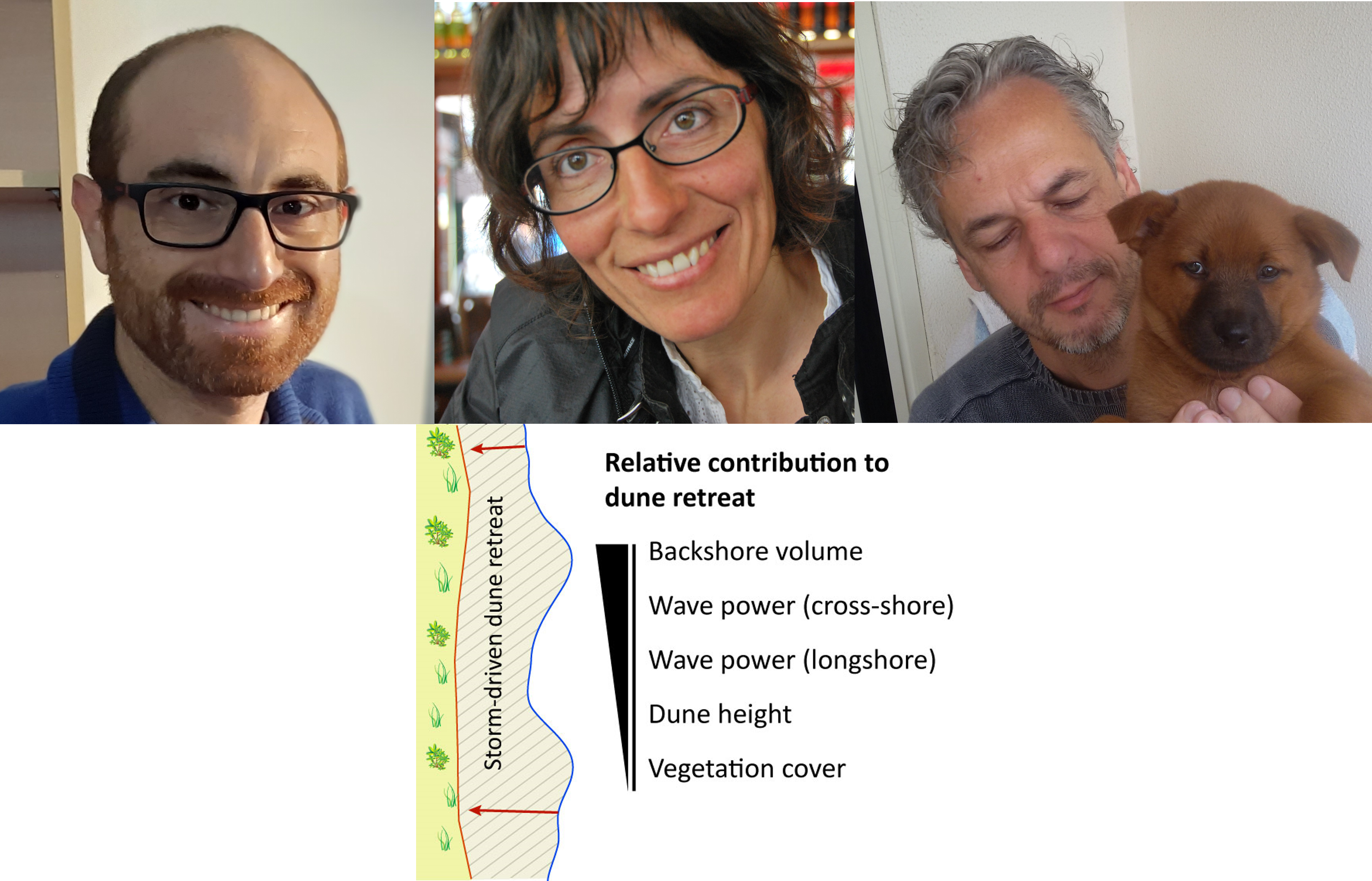 Biotic and abiotic factors governing dune response to storm events