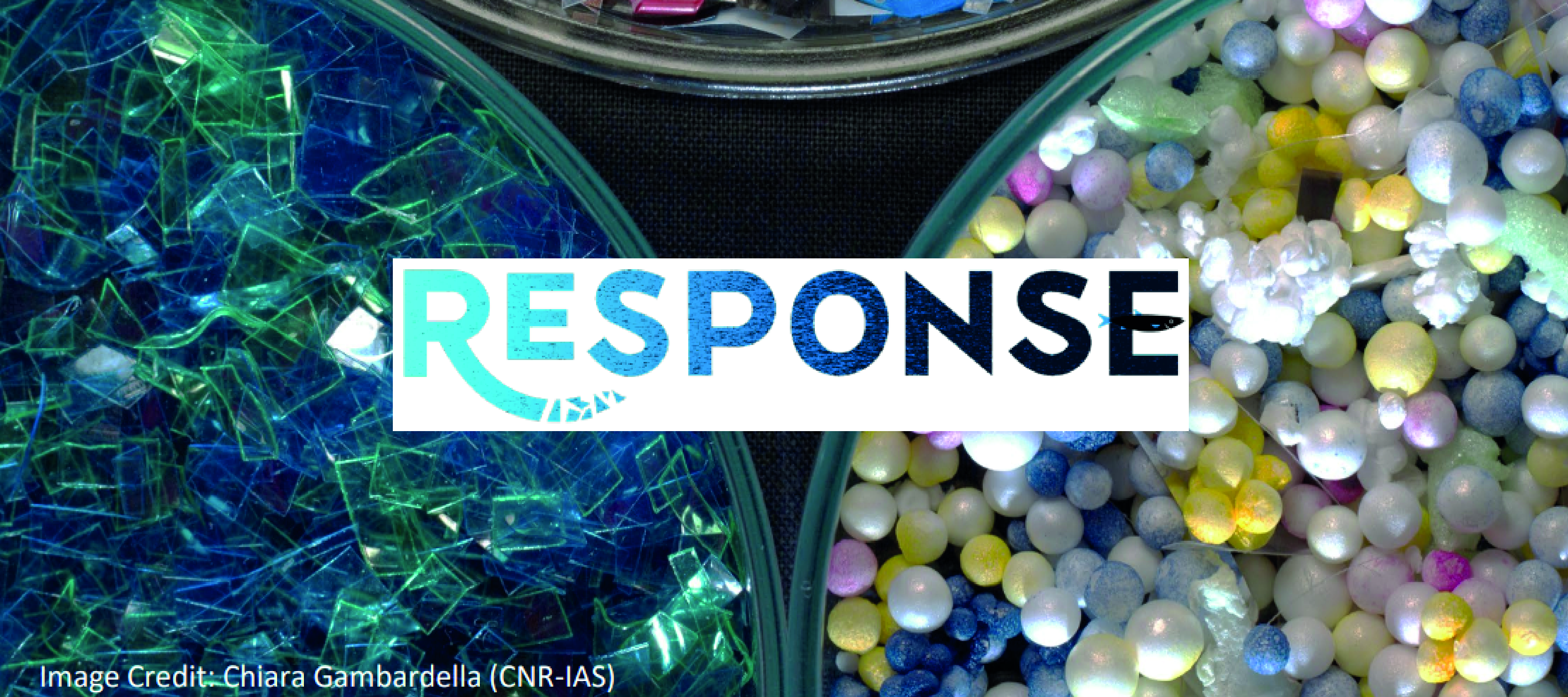 Project Response Newsletter Issue nº1