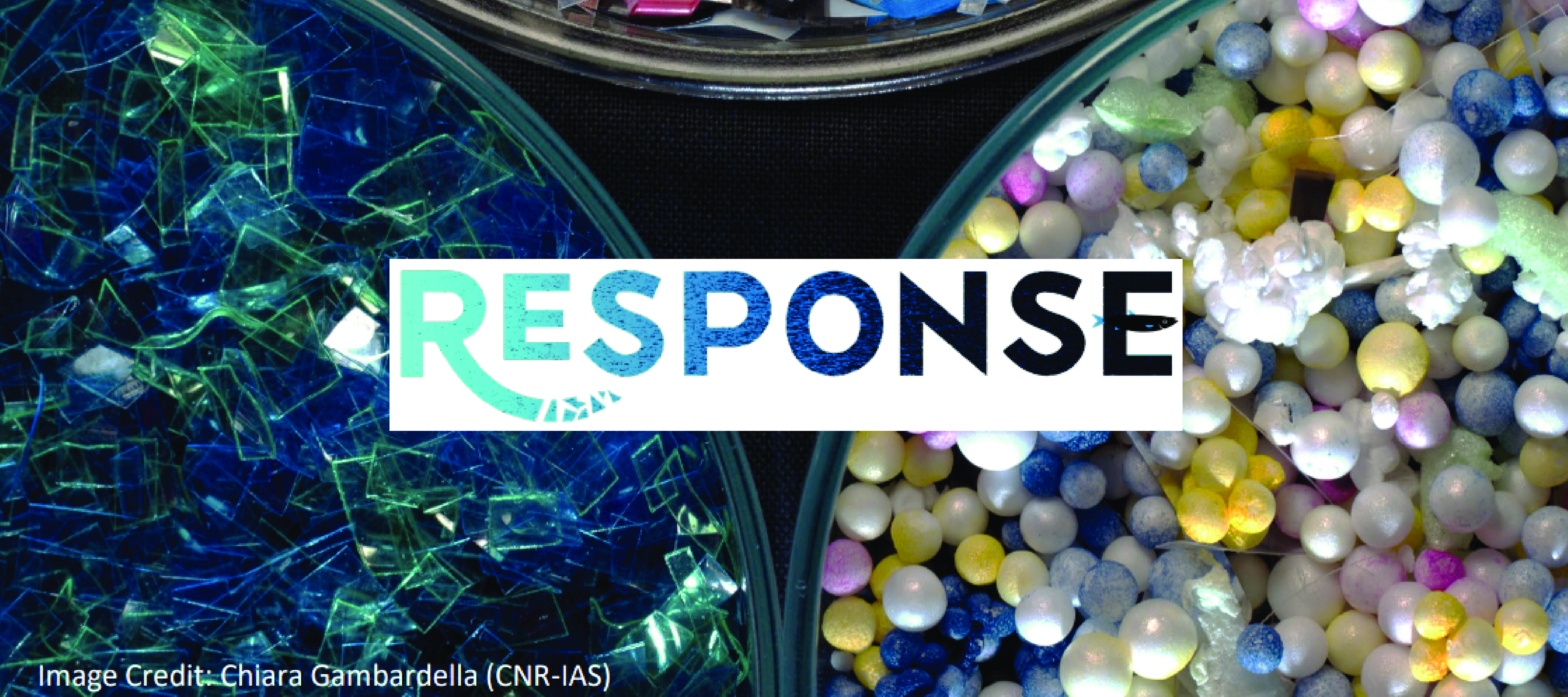 Project Response Newsletter Issue nº1